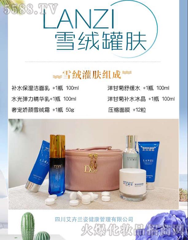 �Ĵ������m�˽����������޹�˾��ѩ�q���w�M��