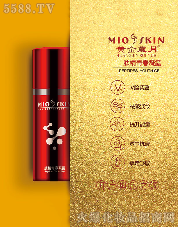 �V�����ʥ����Ƽ����޹�˾���S��q���ľ��ഺ��¶