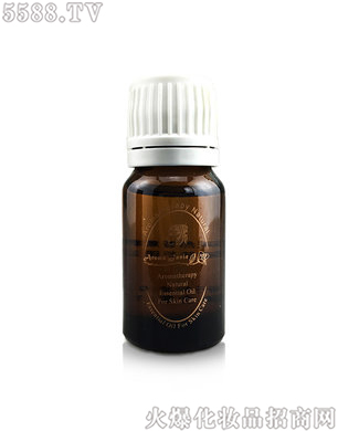 �麣������I(y��)�����Z�������(sh��)����