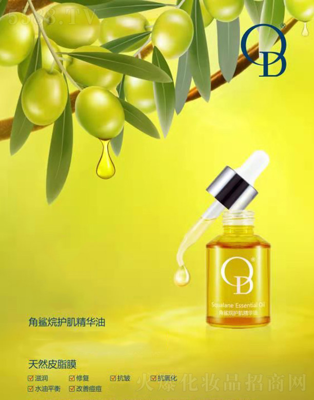 �麣ؐ������Ƽ����޹�˾��OD����?f��)��o�w���A��