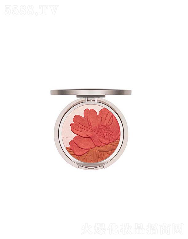 �K�ݰ�������Ƽ����޹�˾���K�ݰ���ľ��ˎ���t