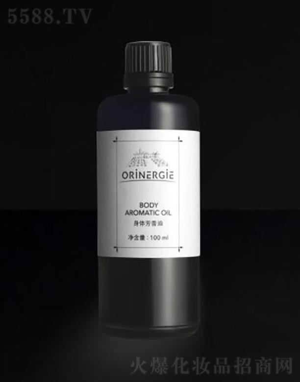 �W��{�������ڣ����ݿƼ����޹�˾��ORiNERGiE���w������