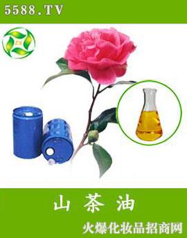 ����ɽ���;���