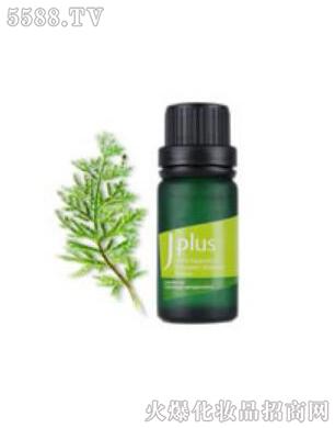 ���׵��߾���