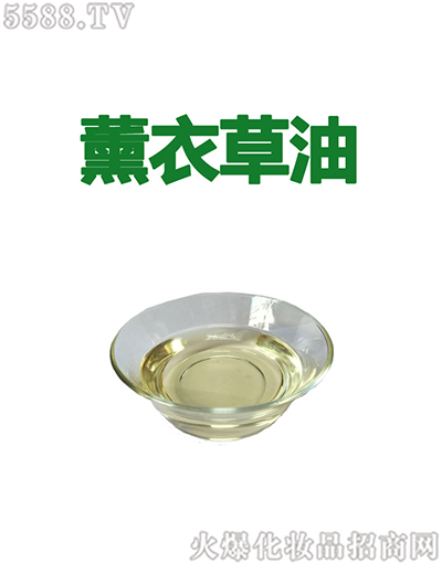 �����޹�²ݾ���