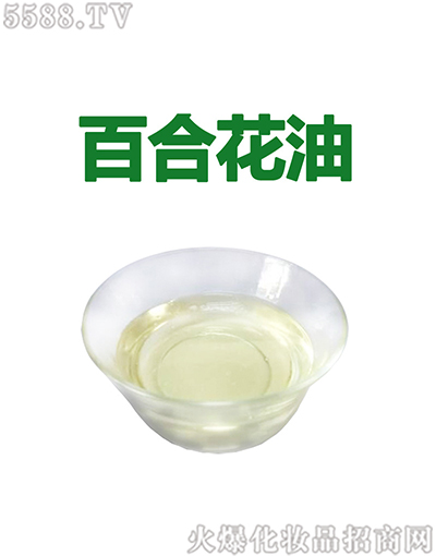 ����ݰٺϻ�����