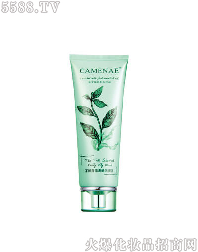 ���Ę�(l��)��亣�坍����