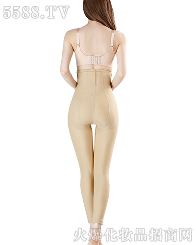 �wɫ�Lѝ����