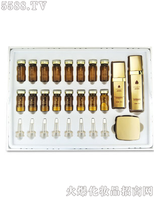 ʥ���A-��ѩ�񼡼Ҿ����b��19���ף�