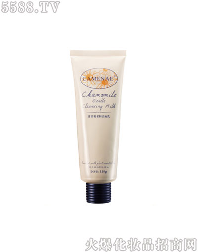 ���Ę���͝�����