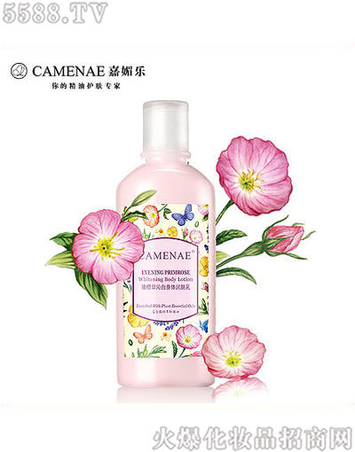 ���Ę���Ѳ����w��(r��n)�w��