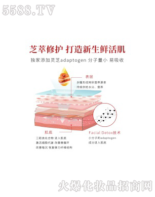 �����`֥�x�����o��Ĥ֥�����o