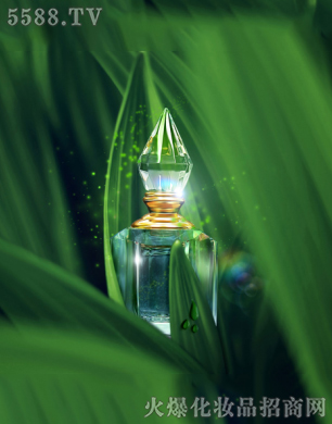 �Ų�����ˮɭ��FOREST