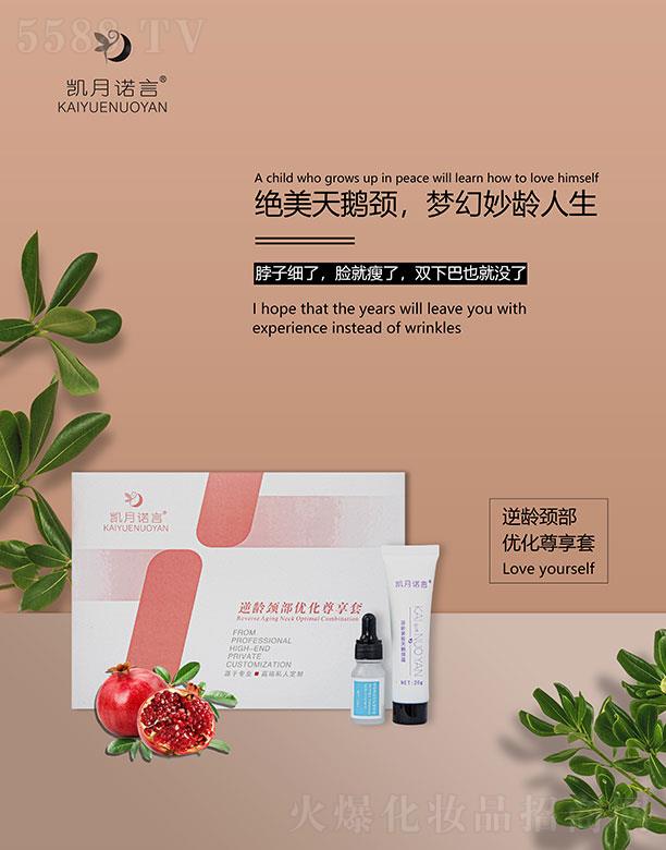 �P���Z�����g�i����(y��u)��������