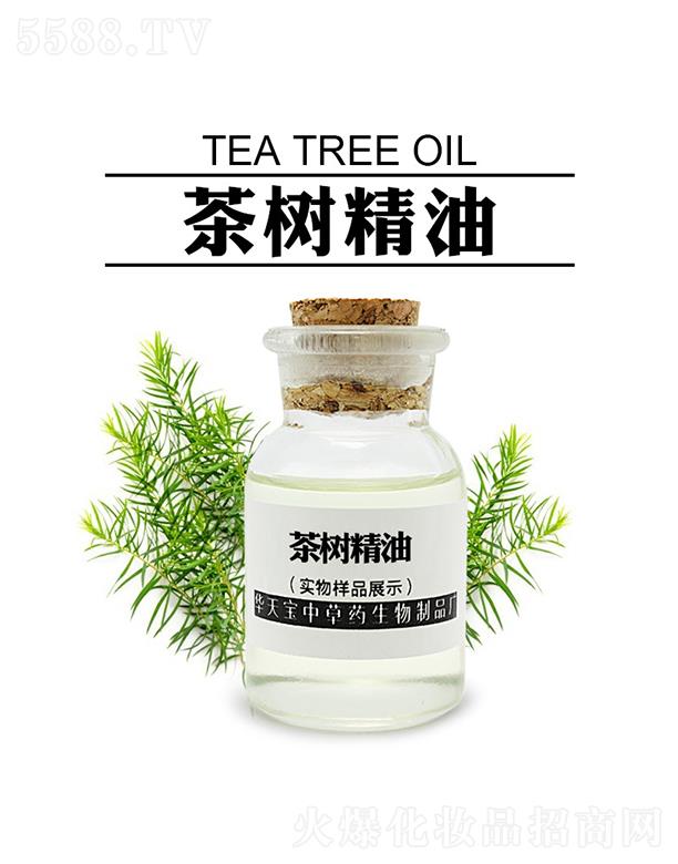 �A�쌚��侫��