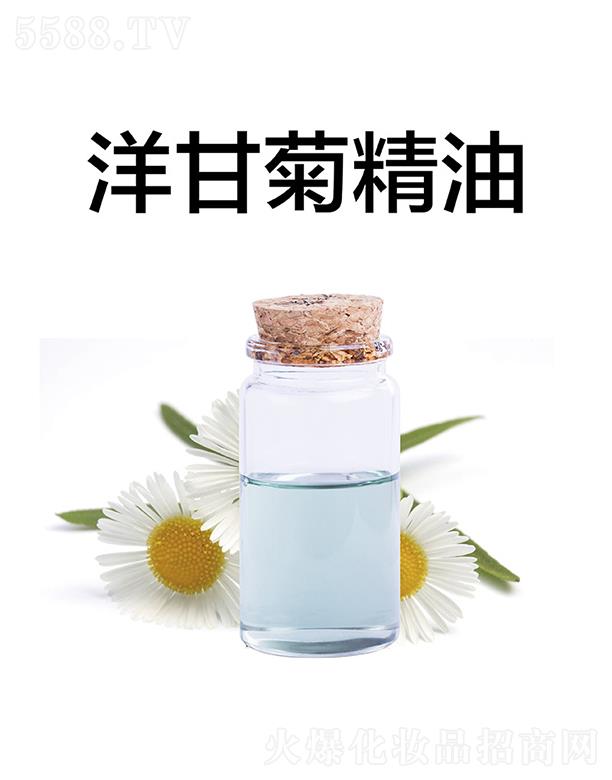 ������ʾվ���