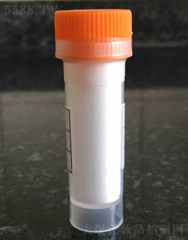 �ɶ���ϣ�������޹�˾������-1/��Ƥ��������