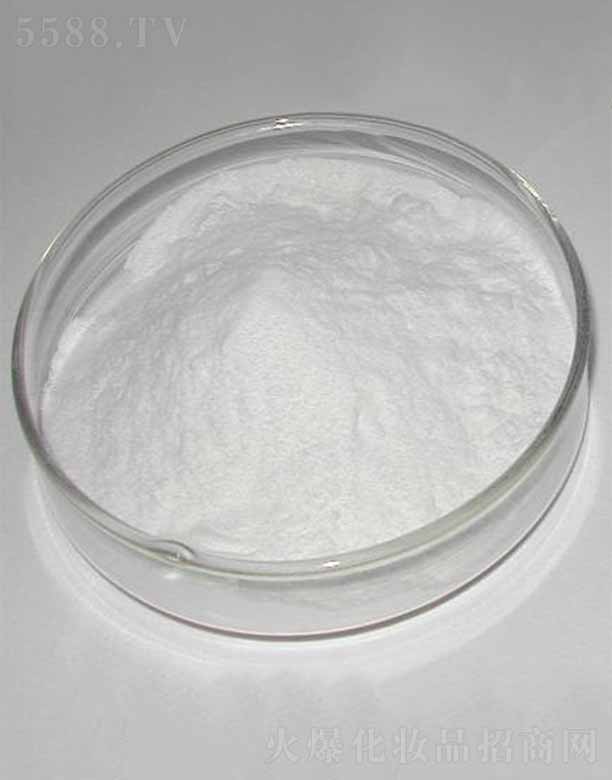 �ɶ������������޹�˾������-9/������/������