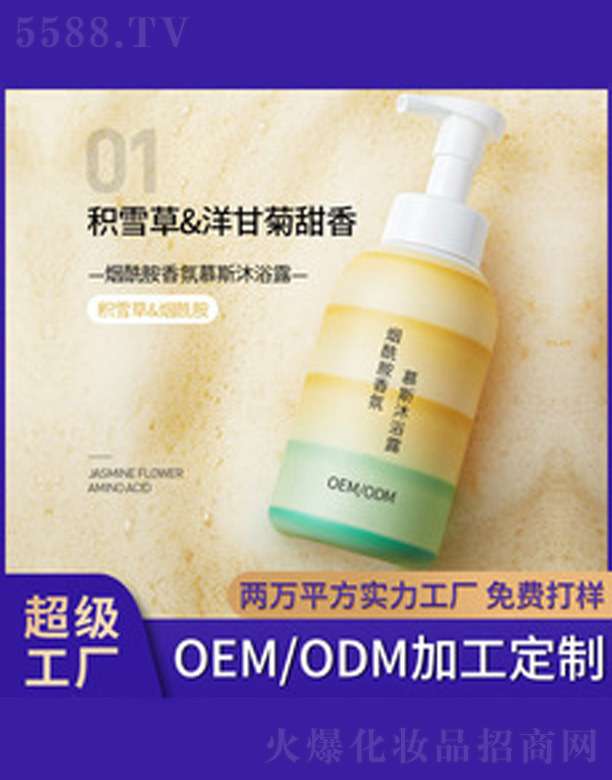 ���������Ľ˹��ԡ¶