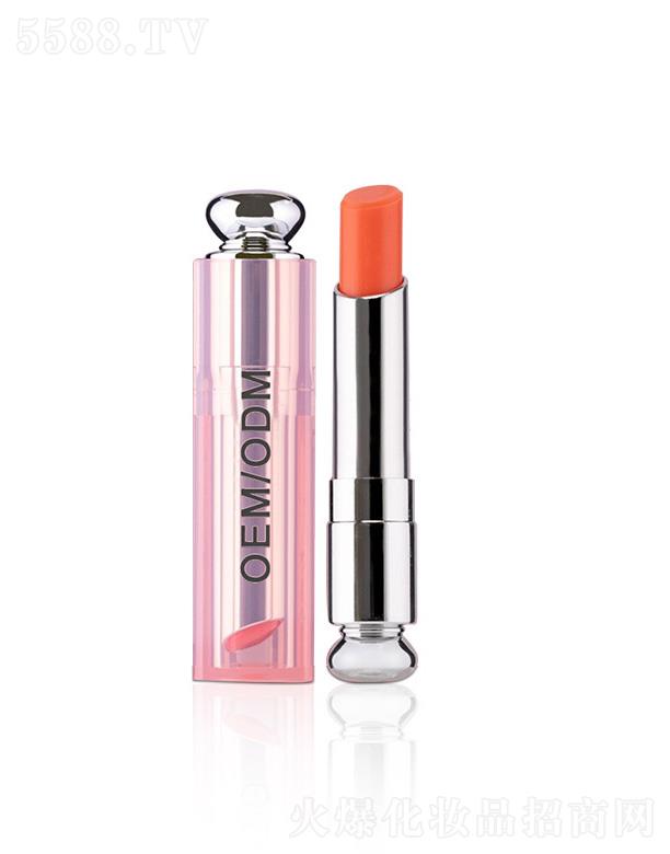 ��׃����OEM