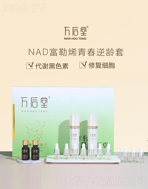 �f����DNA����ϩ�ഺ��