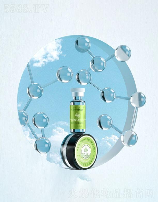 �V�|�������     ���wʳƷ�ٺ��澏���w�׺�  �Ӿ��ϻ�