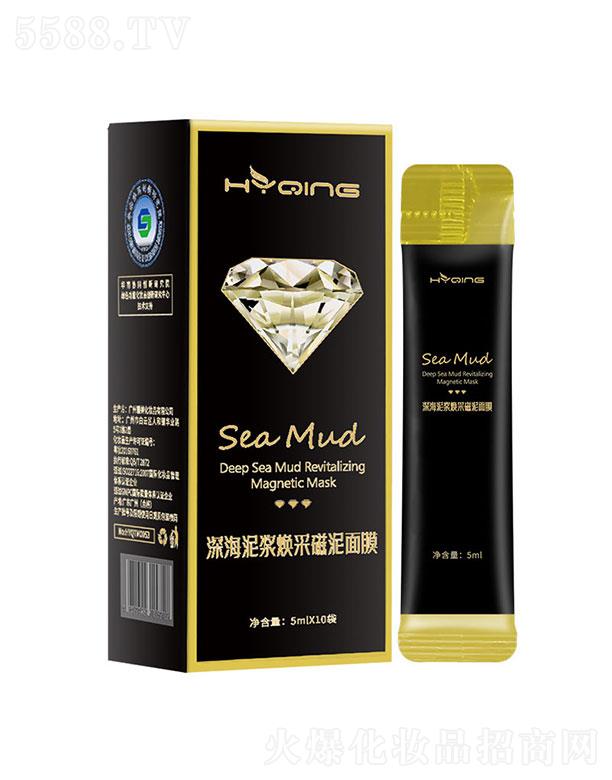 �V�ݱ���   ����������{���ɴ�����Ĥ   ����坍