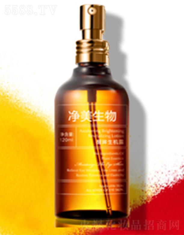 ���������������C¶ �����۲����w