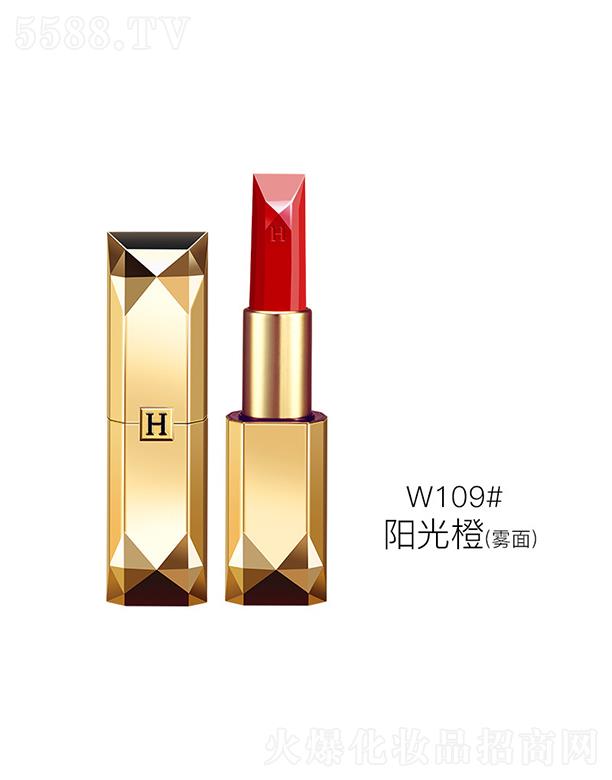 �������ݽ��@���Tɫ����W109#ꖹ��(�F��) ͿĨ˲�g�@ɫ