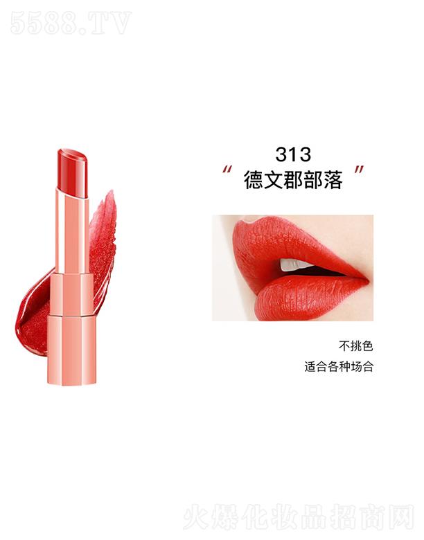 KANݼ��?n��i)��F���ⴽ��313���Ŀ�����