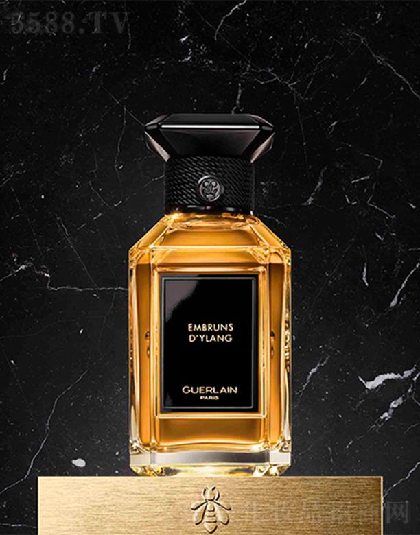 ���mˇ�g(sh��)ɳ��ϵ�� ���(d��ng)���m-���㾫 100ml����Y�����}�M���(y��ng)���ҫ��֮��