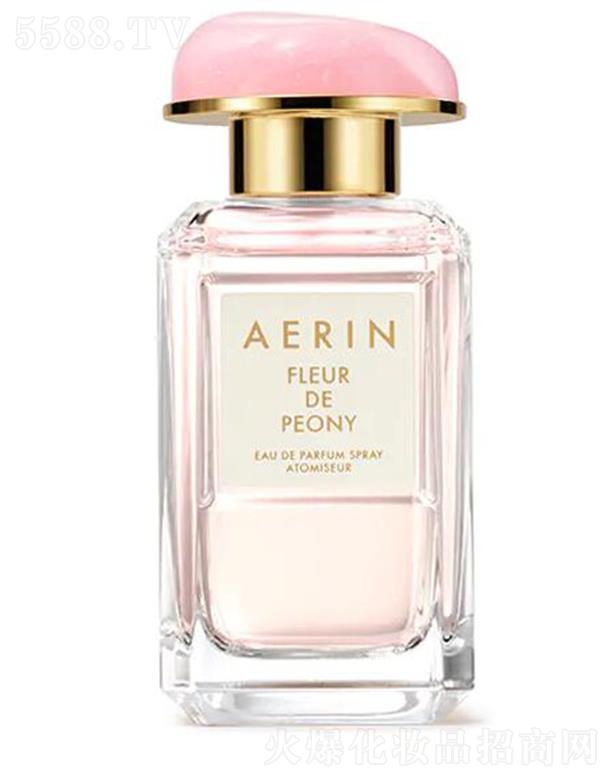 AERIN����ĵ��������� ��(gu��)ɫ���� һҊ�A��