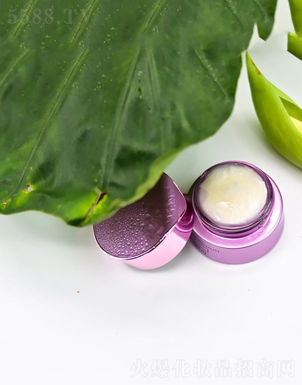 �WȪ������˪ �o�¼��w