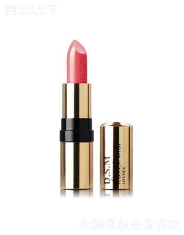 D.S.M��z������ˮ�д���05 �֏�(f��)��������