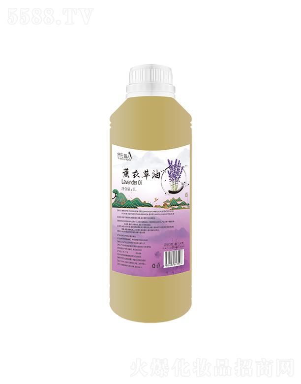 ���σ���޹�²��� 1L���o(h��)���Ａ�w