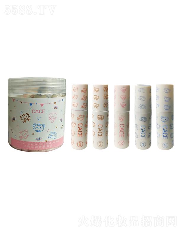 CACE����@�������b �z�q���Բ��׵�ɫ�W(xu��)�����ƽ�r�������bŮ