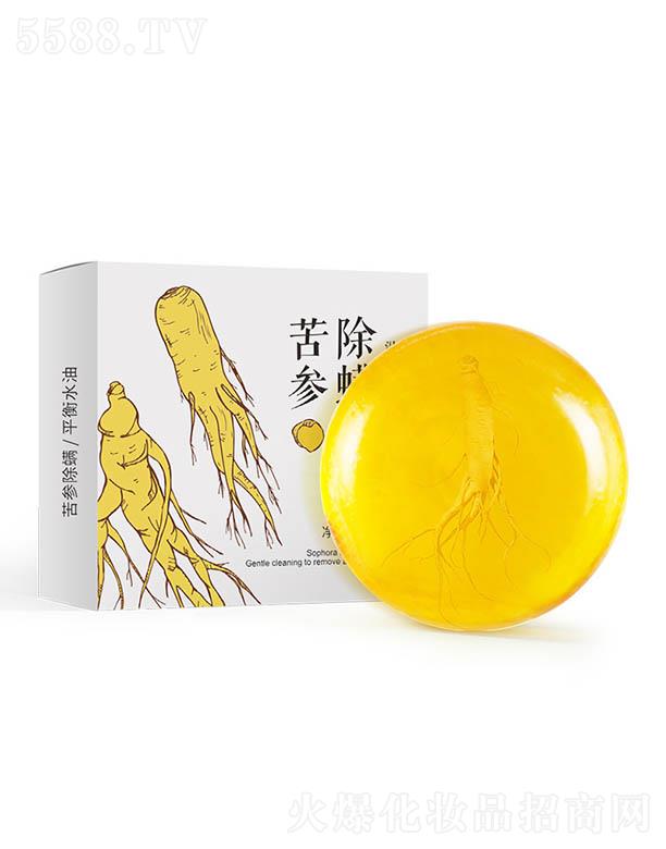 �W�������������� �غ��坍����