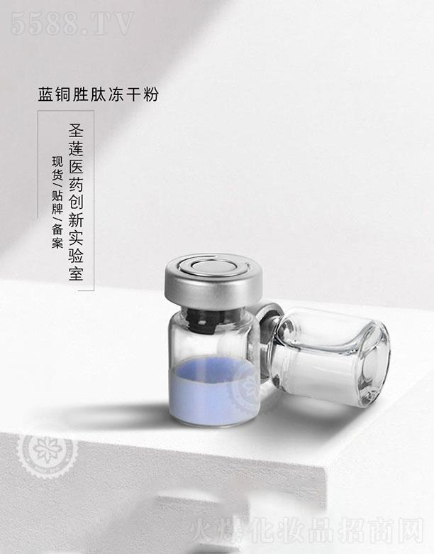 �V��ʥɏ  ʥɏ�{�~�ă��ɷ�   ���ǻ�