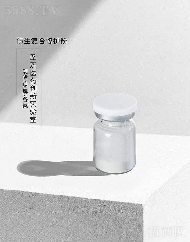 �V��ʥɏ   ʥɏ������(f��)�����o(h��)��   �g(sh��)�����o(h��)   �ռ�(x��)ë��