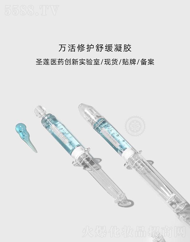 �V��ʥɏ  ʥɏ�f�����o����    ���t���o