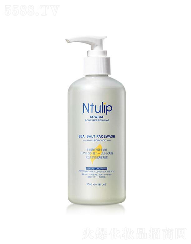 �Z͡��������͸���|(zh��)�ả�}ϴ����  300g