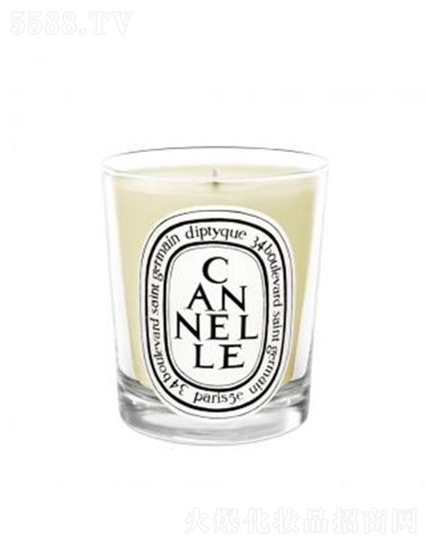 diptyuqe���Ϟ�T-���