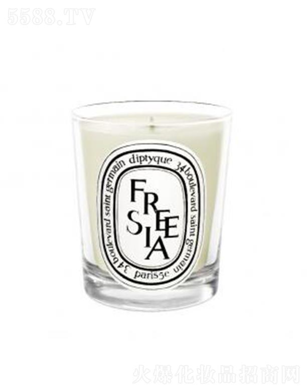 diptyque���Ϟ�T-С�n�m