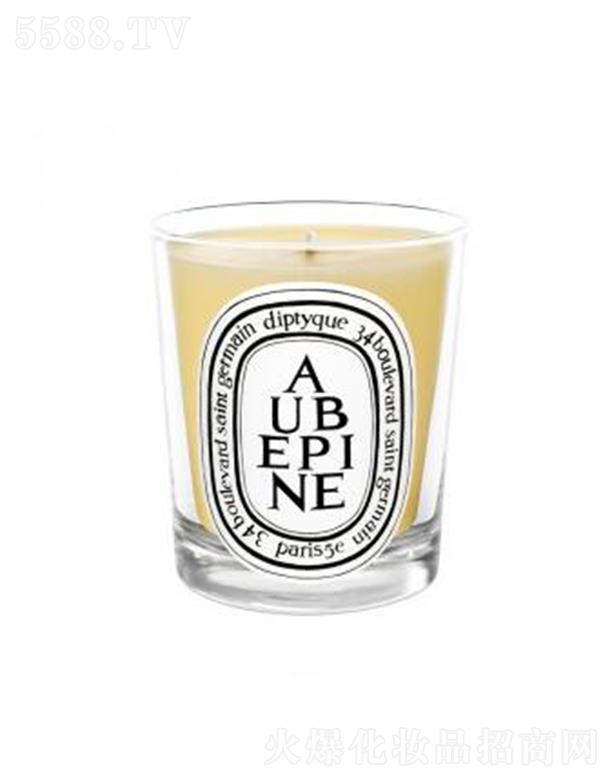 diptyque���Ϟ�T-ɽ�