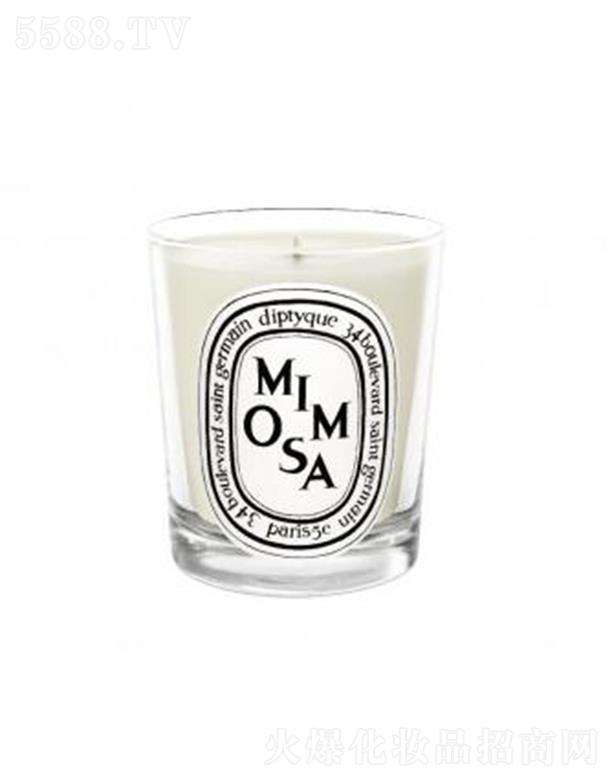 diptyque���Ϟ�T-���߲�