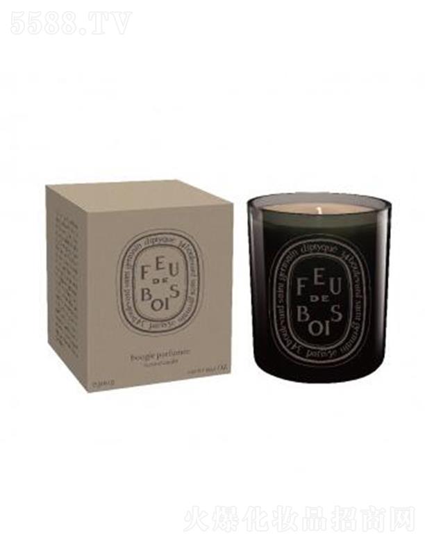 diptyque��ɫ���Ϟ�T-��ɫ̿ľ��