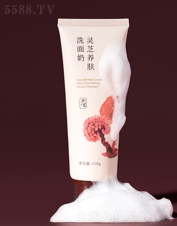 �вݼ��`֥�B(y��ng)�wϴ����