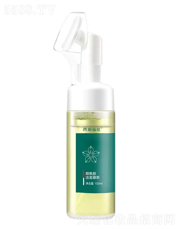 ��ʩ�ɼ�����������Ľ˹