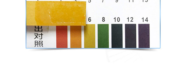 ����������o(h��)�׺�