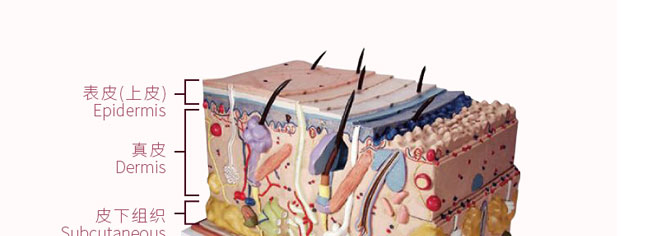 �؊}����ʾռ�¶